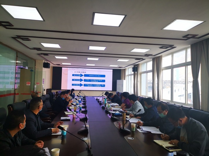 集团调研组一行对镇雄矿业公司发展重点工作调研