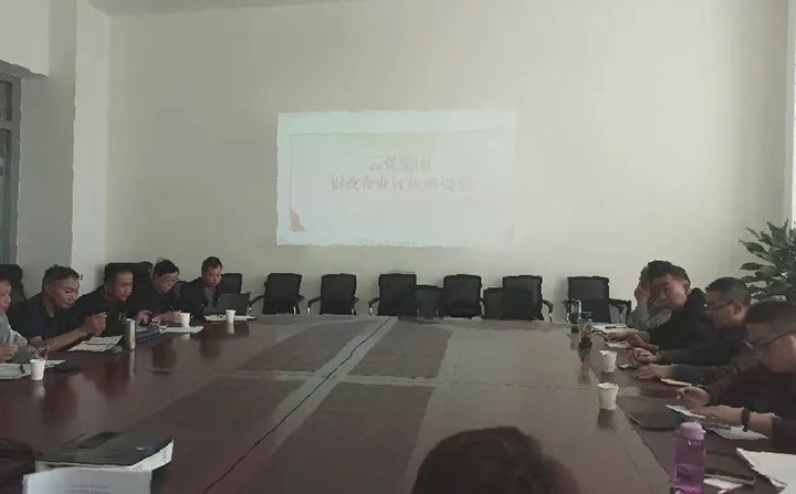 【聚焦云煤】云煤（CA88）集团召开混合所有造企业评估座谈会