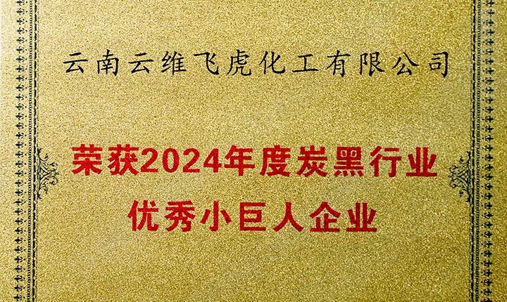 荣誉加冕，将来可期！云维飞虎公司荣膺“中国炭黑行业优良幼巨人”