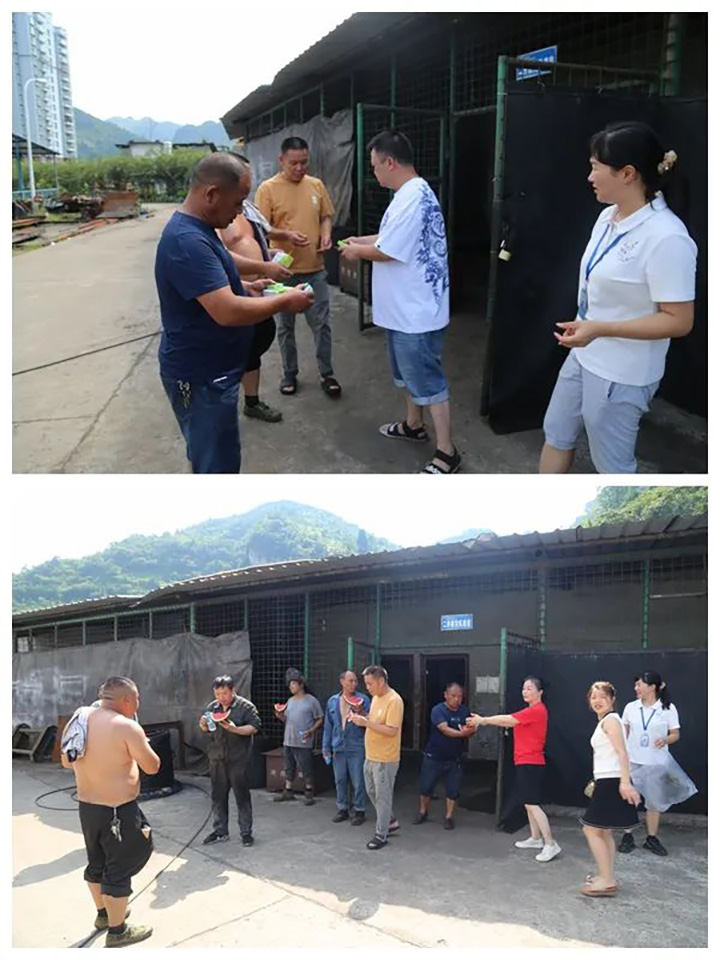 8.jpg 8.jpg